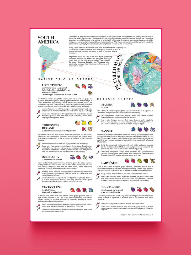 Wine Puzzle - South America