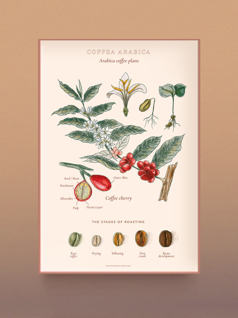 Coffee Puzzle - Coffee Wonderlands