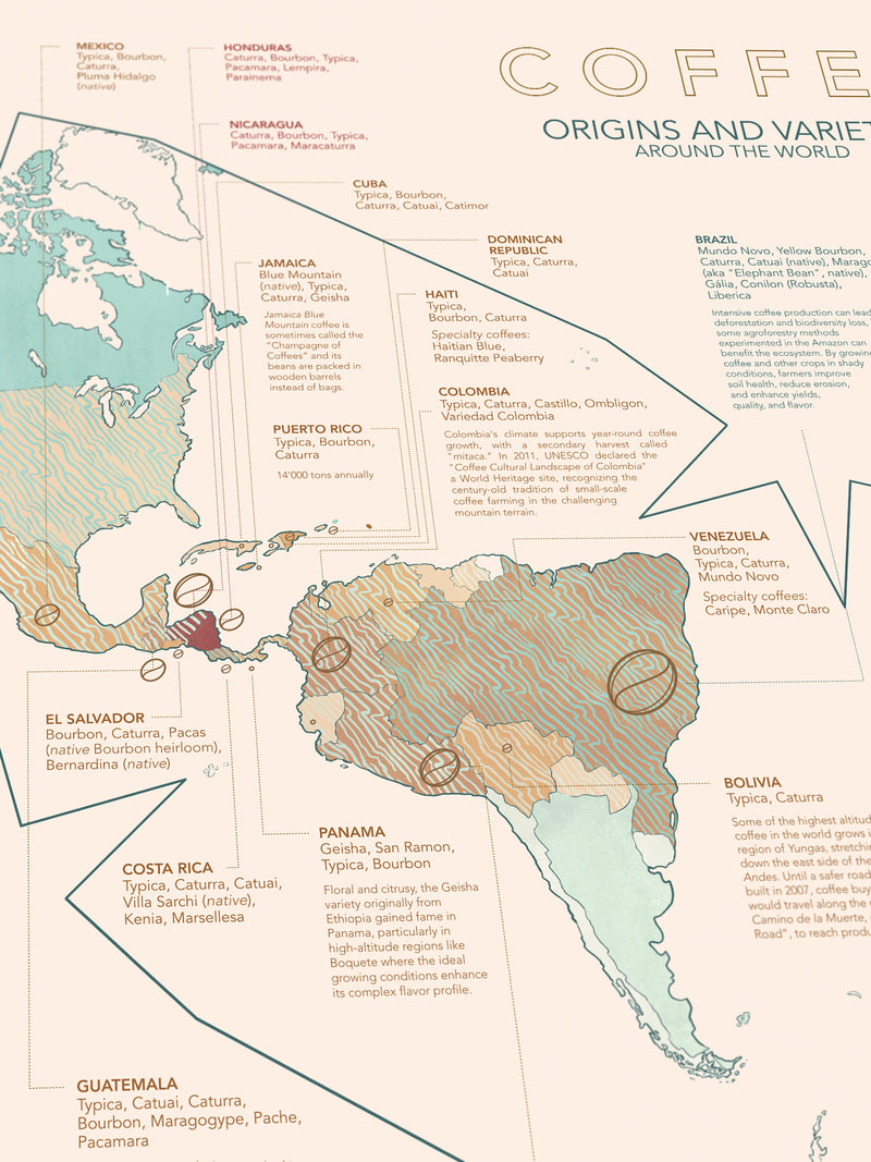 Coffee Puzzle - Coffee Wonderlands