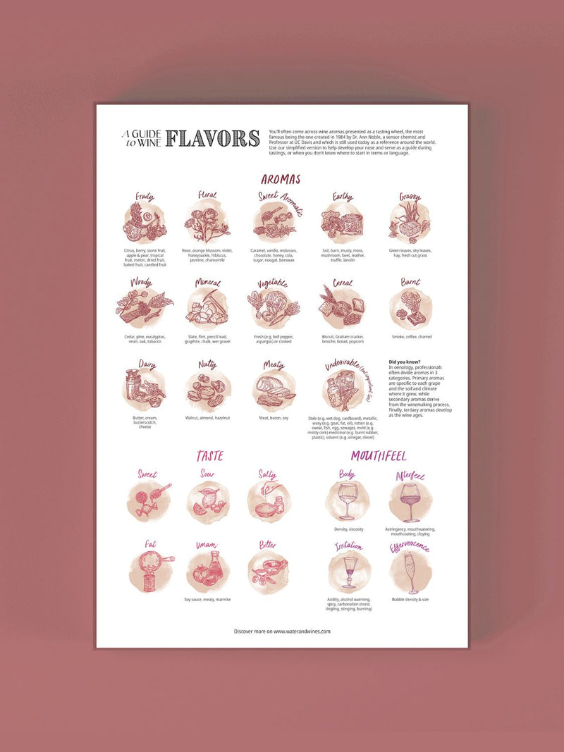 Wine Puzzle - Periodic Table of Wine